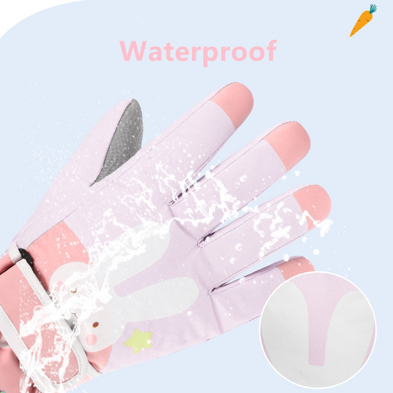 Guantes de esquí para nieve de - Winter Glove Insulated reseña y precio